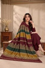 bareeze-plum-burgundy-dhanak-plain-suit-with-3d-wool-shawl-sarastore-pk