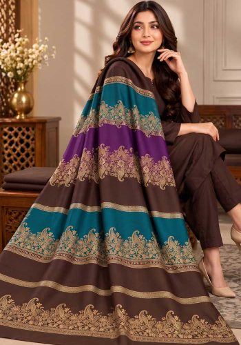 chocolate-brown-dhanak-plain-suit-with-3d-wool-shawl-sarastore-pk